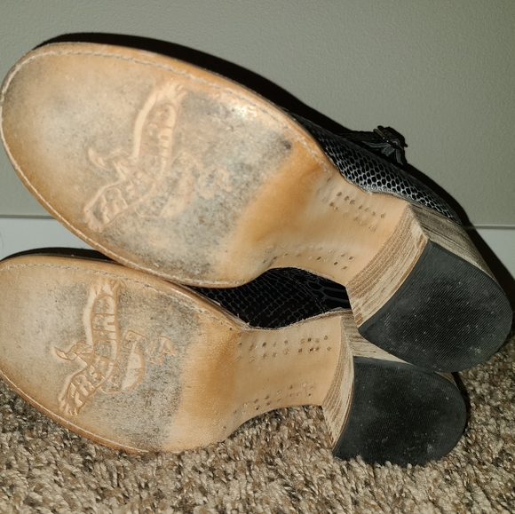 Freebird Randi - Picture 5 of 5